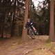 IMG 3492
