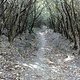 Trail in Italia