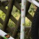 IMG 2676
