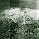  MG 3403