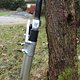 IMG 0192