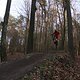 IMG 1994