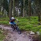 Ein Enduro oder Trailbike ist die perfekte Wahl für den Schwarzwaldtrail