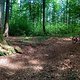 Tour Nr. 141 - Waldfahren (10 Bilder)