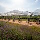 Riders during stage 4 of the 2021 Absa Cape Epic Mountain Bike stage race from Saronsberg in Tulbagh to CPUT in Wellington, South Africa on the 21th October 2021

Photo by Sam Clark/Cape Epic

PLEASE ENSURE THE APPROPRIATE CREDIT IS GIVEN TO THE PHOT