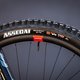 Für Grip sind Maxxis Assegai-Reifen in weicher Gummimischung mit DH-Karkasse an Front und Heck zuständig.