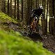 Obwohl am Heck eine zu weiche Feder verbaut war, ließen sich einige interessante Eindrücke zum Bike sammeln.
