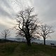 09.03.2025 März 2.1; WP92 mdRzB 🥐 + mdRzWsg 🧘‍♂️🤸‍♀️ + mdRzHb ⛰️