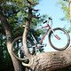 1989 Tom Ritchey P-23 Team Prototyp Magazine Bike - Ride 3
