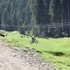 IMG 9846