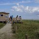 Langeoog-Vogelbeobachtung