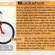Auszug aus Bike Sport News 4/01 (u. a. Tomac 00Buckshot)