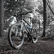 Fotografie und Mountainbike... 2 Hobbys vereint :)