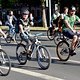 Critical Mass 1706 4912a