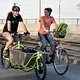 Critical Mass 1804 3846a
