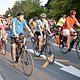 Critical Mass 1908 8184a