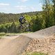 IMG 7875