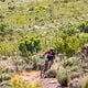 Candice Lill and Mariske Strauss during stage 1 of the 2021 Absa Cape Epic Mountain Bike stage race from Eselfontein in Ceres to Eselfontein in Ceres, South Africa on the 18th October 2021

Photo by Sam Clark/Cape Epic

PLEASE ENSURE THE APPROPRIATE 