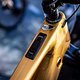 Sea Otter - Pole-57