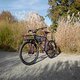 L1000050 (MTB-News)