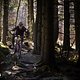 Schwalbe Clik Valve Specialized Stumpjumper 2025 PSturm