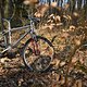 Marin Nail Trail 1996