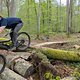 FranztrailSkinny1stride#5