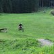 IMG 5321