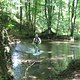 IMG 0054
