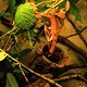 IMG 0019