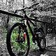 trek fuel ex