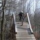 IMG 7246