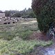 IMG 0156