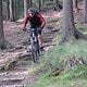 IMG 7578