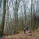 Sanfte Wald-Trails wechseln sich mit...