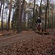 IMG 1962