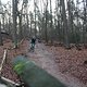 IMG 1238