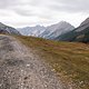 IMG 0744