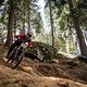 2019 ist Nina als Privateer ihre vierte Downhill-Saison überhaupt gefahren und stand direkt mehrfach auf dem Podium