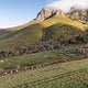 Riders during stage 7 of the 2023 Absa Cape Epic Mountain Bike stage race from Lourensford Wine Estate in Somerset West to Val de Vie, Paarl, South Africa on the 26 th March 2023. Photo Sam Clark