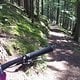Einstiegstrail
