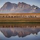 riders during Stage 4 of the 2025 Absa Cape Epic Mountain Bike stage race held at Fairview, Paarl, Cape Town, South Africa on the 20th March 2025. Photo by Sam Clark/Cape Epic
PLEASE ENSURE THE APPROPRIATE CREDIT IS GIVEN TO THE PHOTOGRAPHER AND ABSA