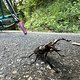 IMG 7847