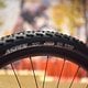 Maxxis 32-5