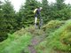 Rothaarsteig 2010