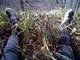 IMG00045-20101114-1342