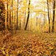 Herbst2K10Bild156