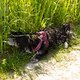 Fotospaziergang 06-06-2014 Tina -5692
