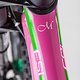 RS-pink-bike-8340