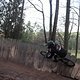 IMG 1313